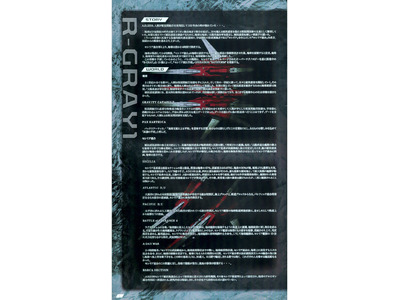 RayStorm R-Gray1