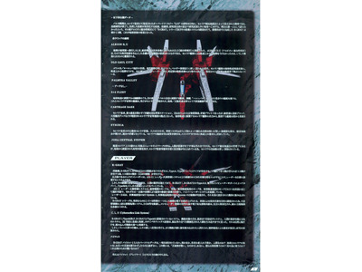 RayStorm R-Gray1