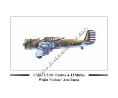 Curtiss A-12 Shrike Wright 'Cyclone' Aero Engine