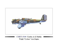 Curtiss A-12 Shrike Wright 'Cyclone' Aero Engine